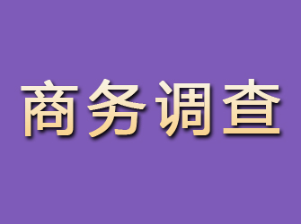 崇信商务调查